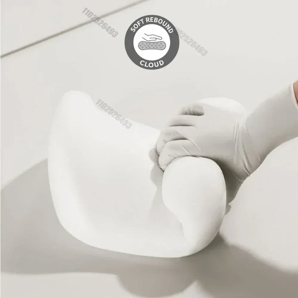 Headrest and Lumbar Support