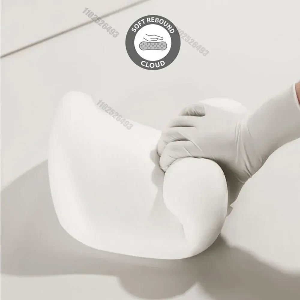 Headrest and Lumbar Support